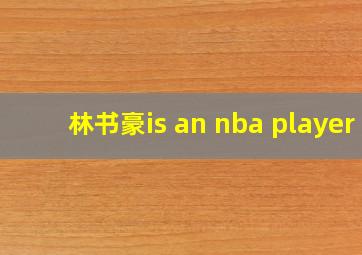 林书豪is an nba player